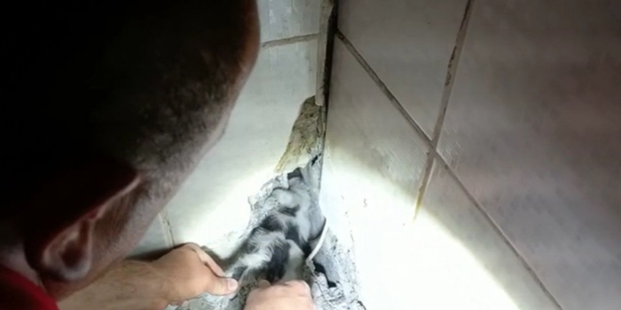 Yavru kediyi itfaiye ekipleri kurtardı