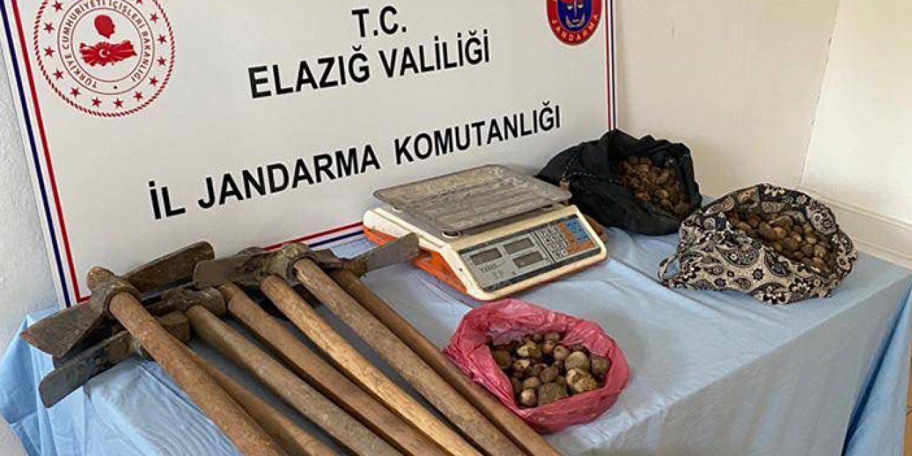 Salep soğanı toplayanlara 438 bin 372 lira ceza