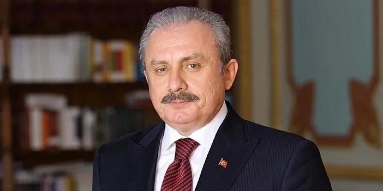 TBMM Başkanı anneler gününü kutladı