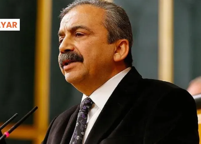 Sırrı Süreyya Önder seçildi mi? Sırrı Süreyya Önder milletvekili oldu mu?