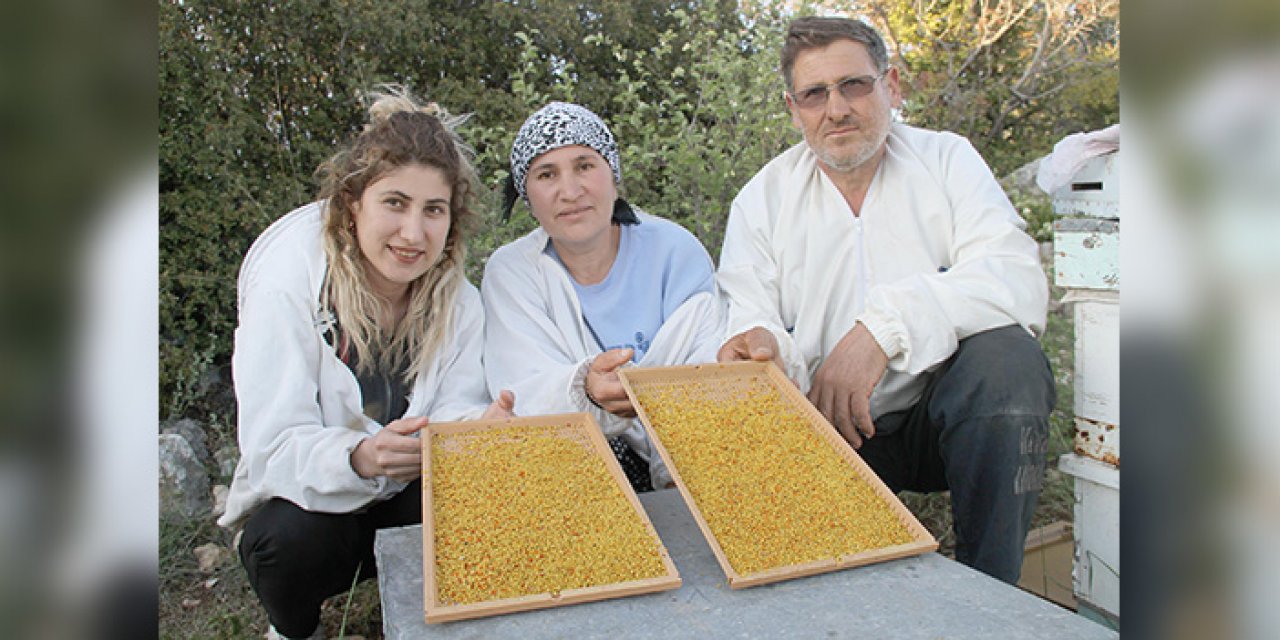 Polenin kilosu 300 liradan satılıyor