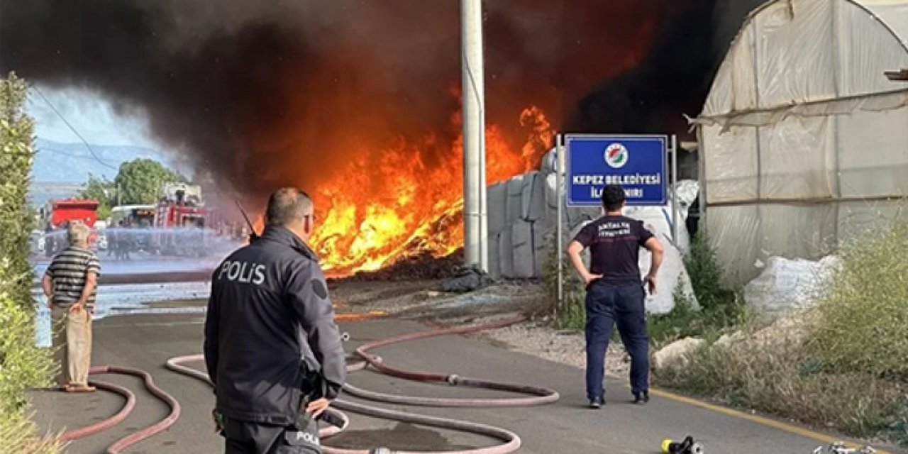 Depoda çıkan yangın seralara sıçradı