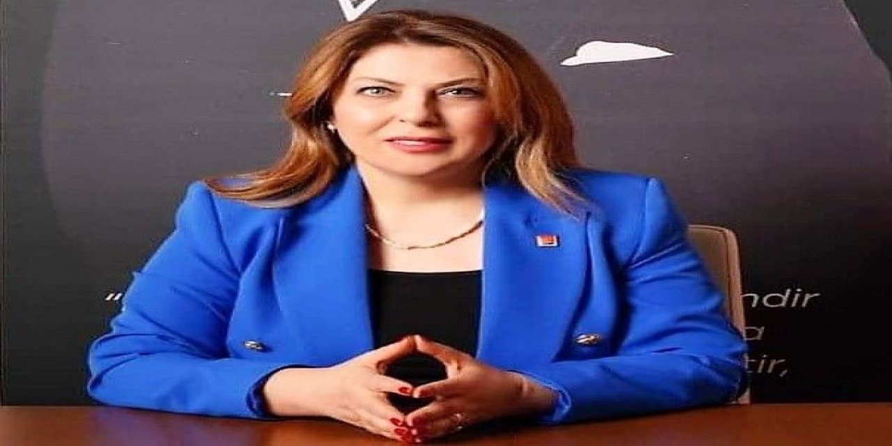 Elvan Işık Gezmiş kimdir? Elvan Işık Gezmiş nereli ve kaç yaşında?