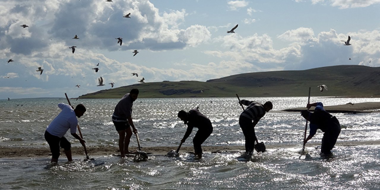 Balıkların üreyebilmesi için seferber oldular