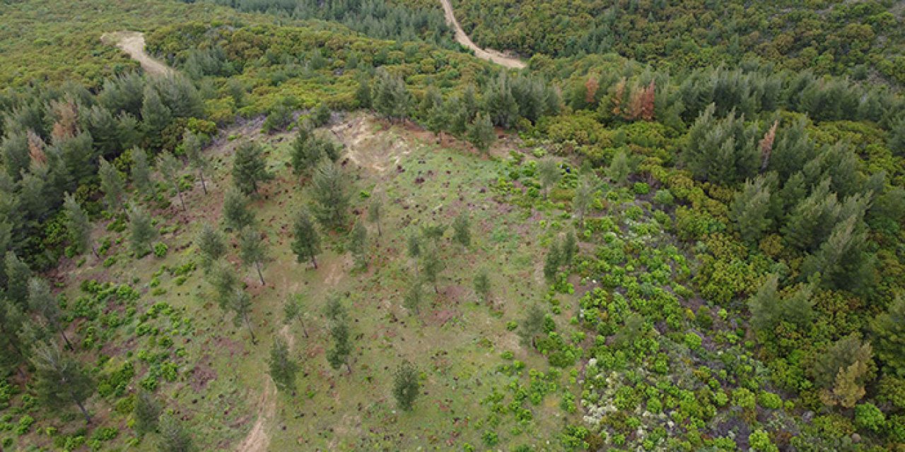 108 yıl sonra bulunan şehitlik ihya ediliyor