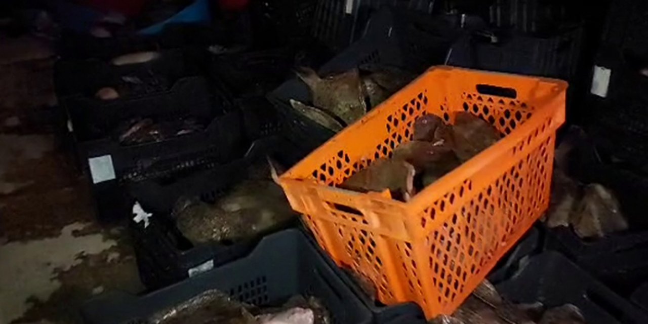 Yasa dışı avcılara 197 bin TL’lik büyük ceza