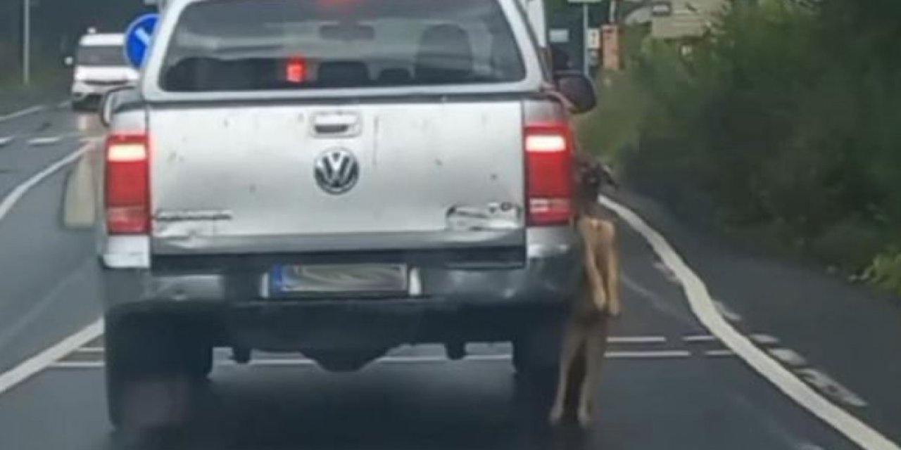 Pikapta asılı şekilde taşınan köpeğin sahibi: Fark etmedim