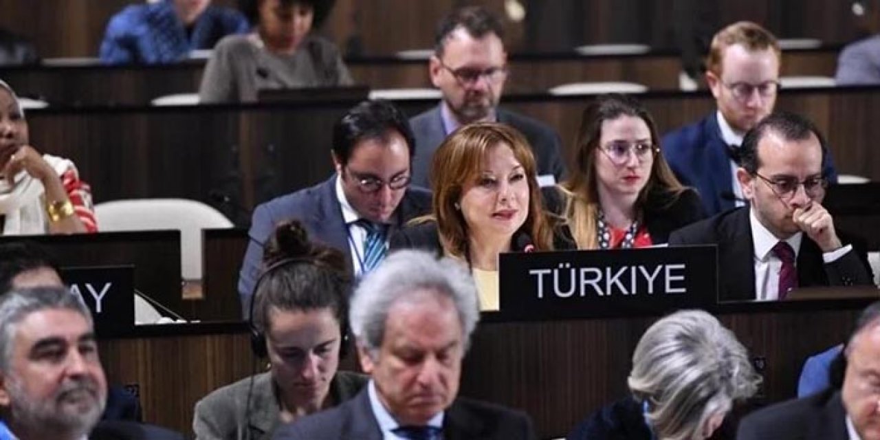 “İslamofobi” terimi UNESCO tarafından tanındı