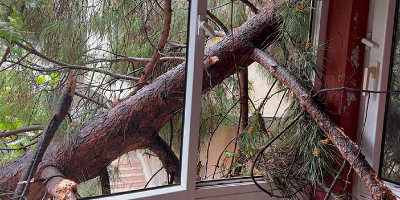 Devrilen ağaç balkondan evin içine girdi
