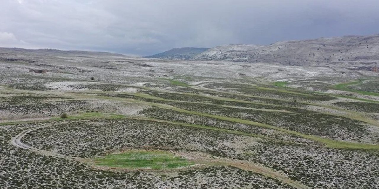 Yaylaya yağan karlar arıcıları umutlandırdı