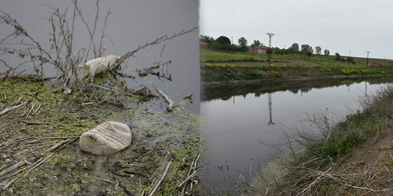 Ergene Nehri'nde 3'üncü derece kirlilik oranı