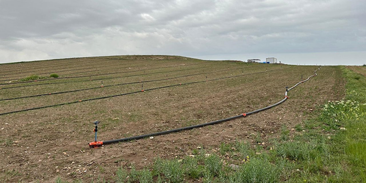 Tarlada yıldırım çarpması sonucu hayatını kaybetti