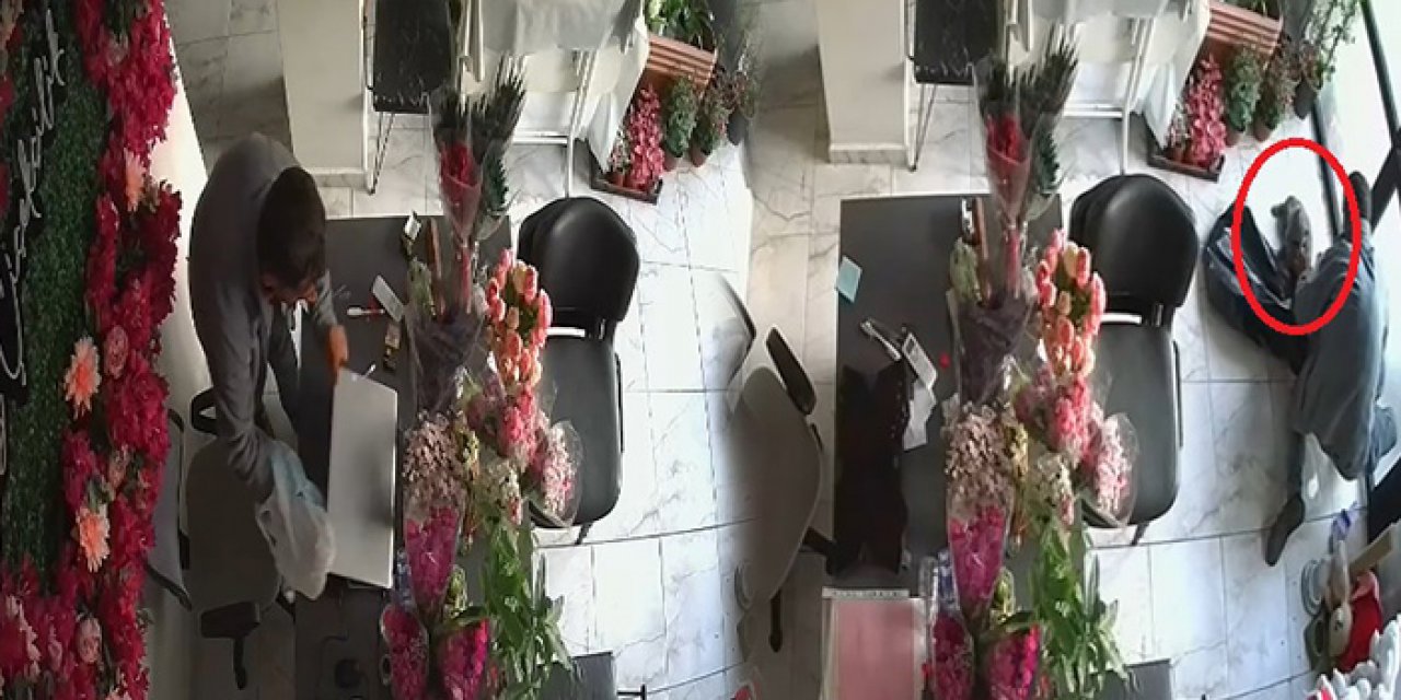 Bir garip hırsızlık: Kediyi de çaldı