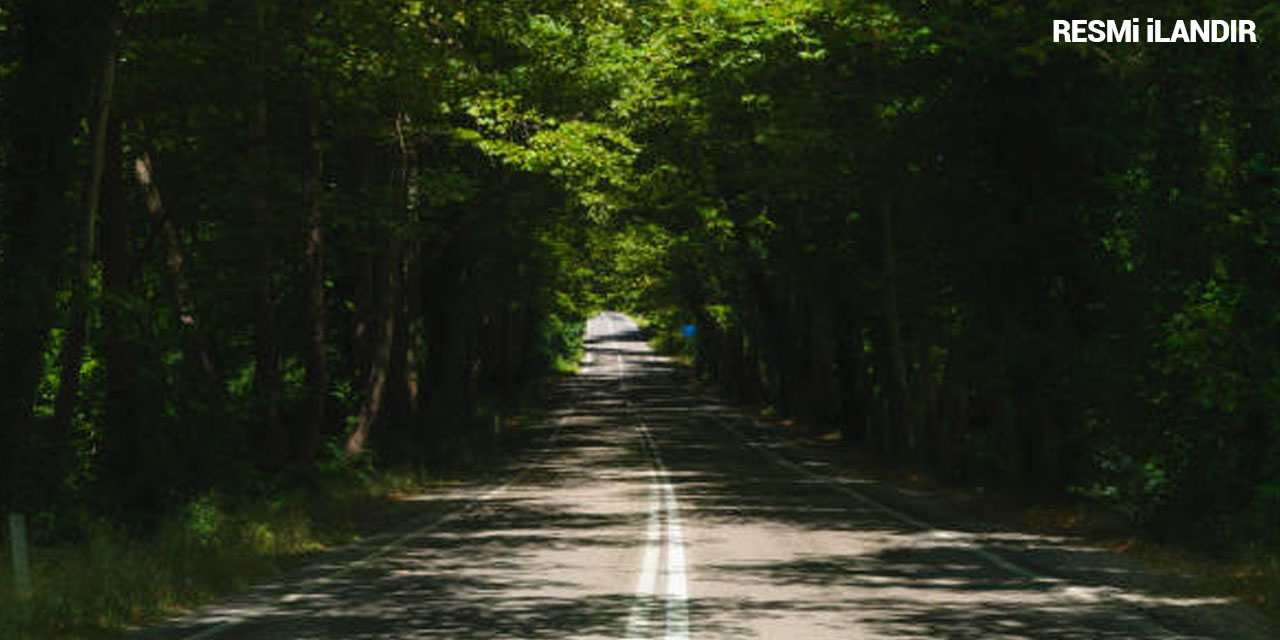 KIZILCAHAMAM ORMAN İŞLETME MÜDÜRLÜĞÜ YENİ ORMAN YOLU YAPIM İŞİ