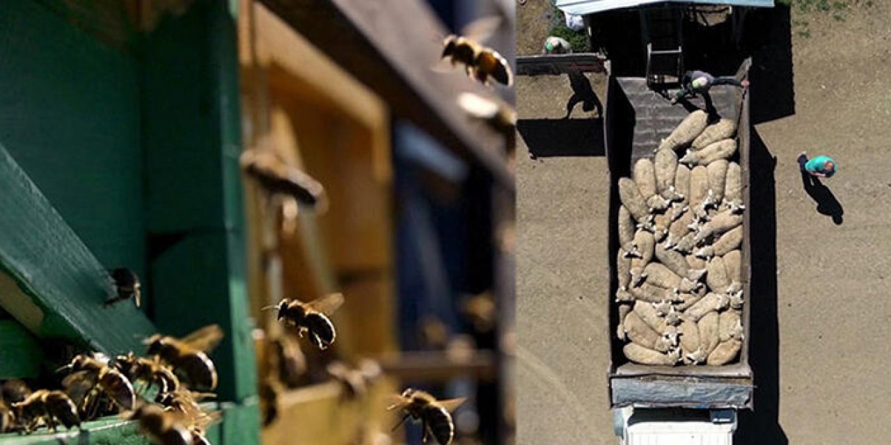 Hayvanları ölen depremzedelere yardım