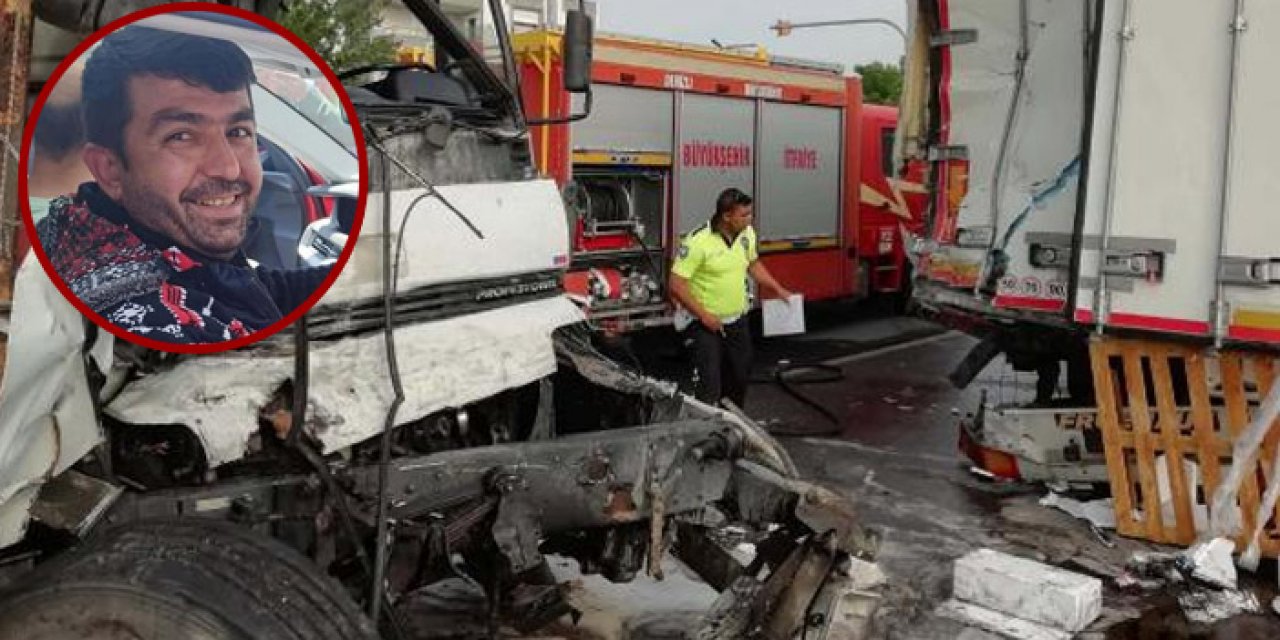 Yaralı köpeğe yardım etmek istedi; canından oldu