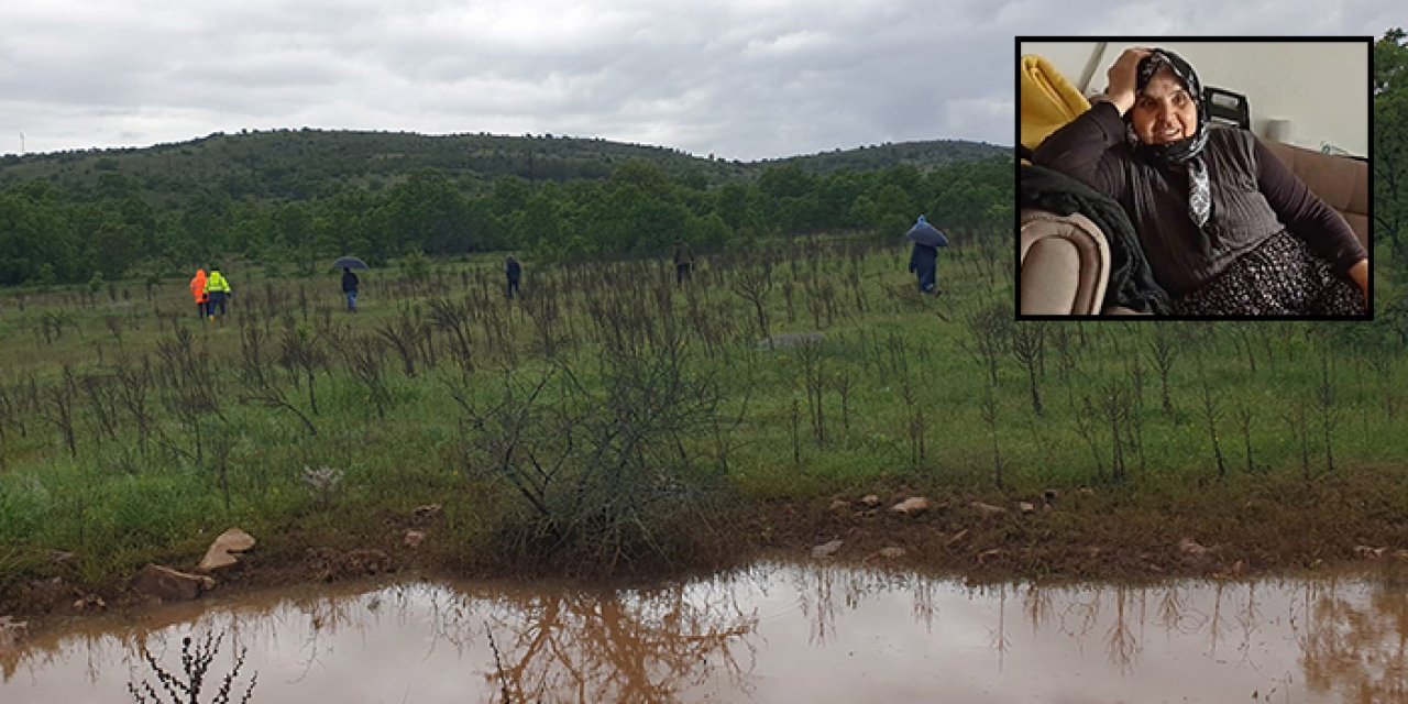Mantar toplamak için gidip geri dönmedi: Ormanda kayboldu