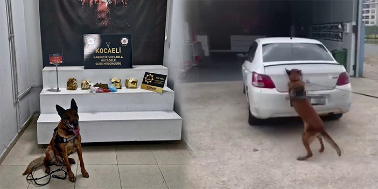 Saklanan uyuşturucuyu 'Millov' buldu