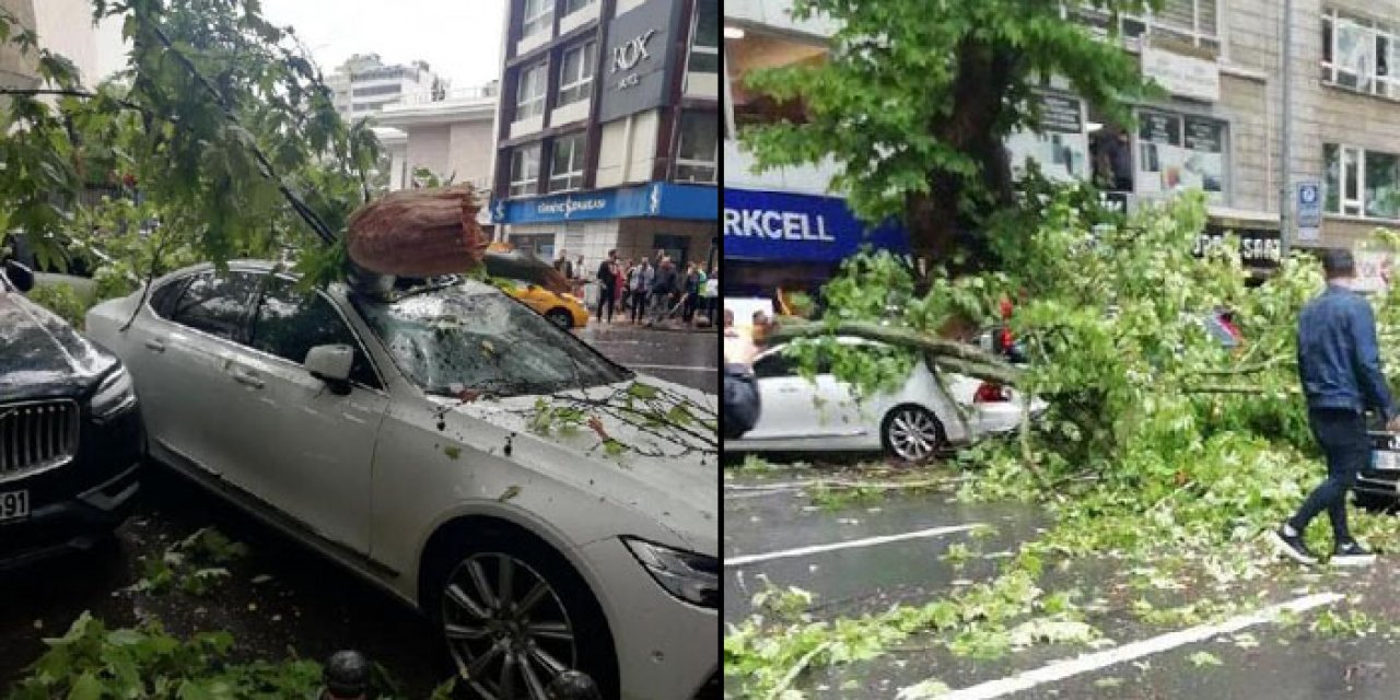 Çankaya'da ağaç şiddetli rüzgar nedeniyle araçların üzerine düştü