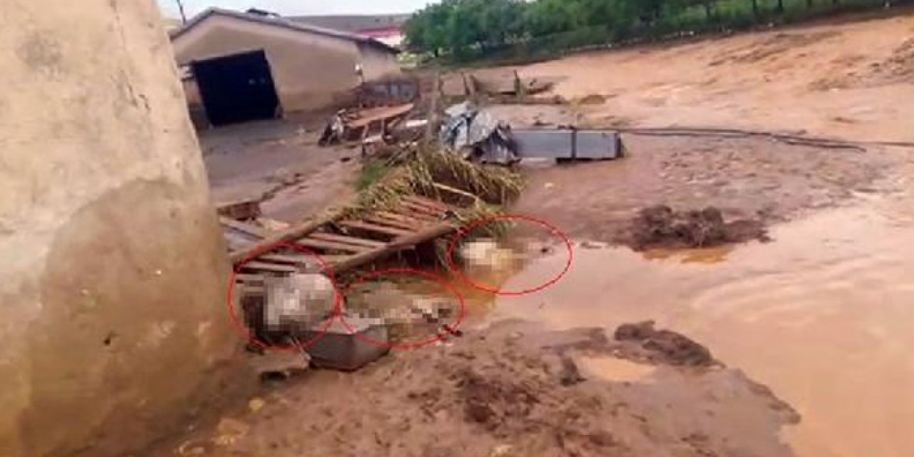 Sağanak ve dolu nedeniyle 200 küçükbaş hayvan telef oldu