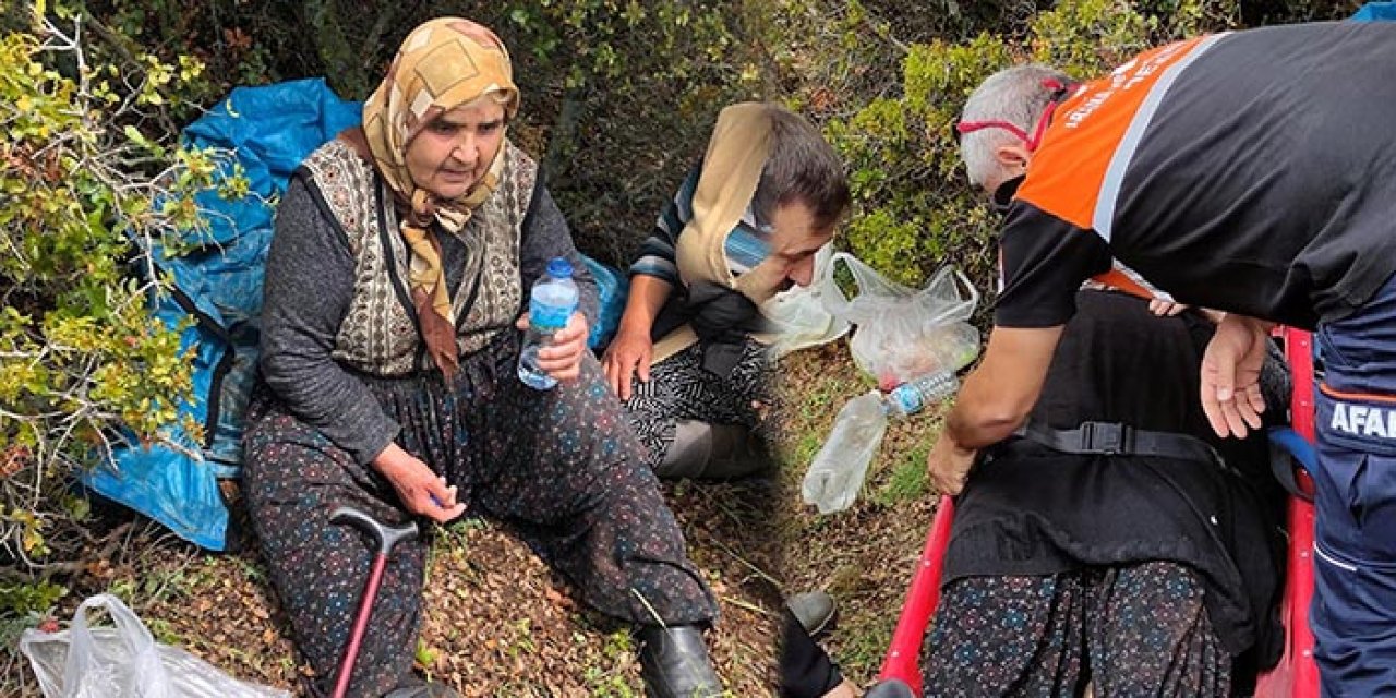 3 gün önce kaybolmuştu: Ormanda bulundu