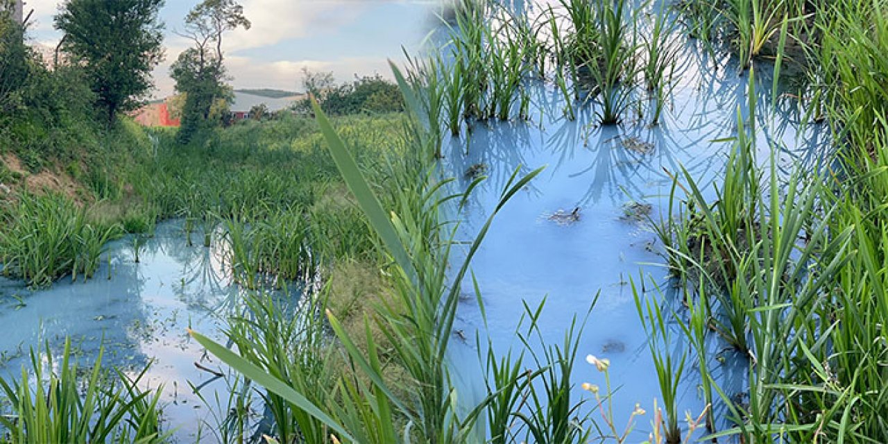 Derenin renk değişimi vatandaşları tedirgin etti