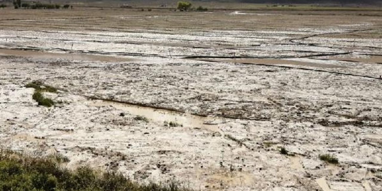 Sağanak nedeniyle 500 dekarlık tarım arazisinde zarar oluştu