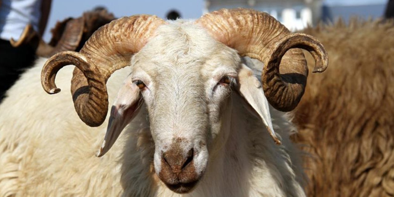 Her kurban lösemili çocuklara can