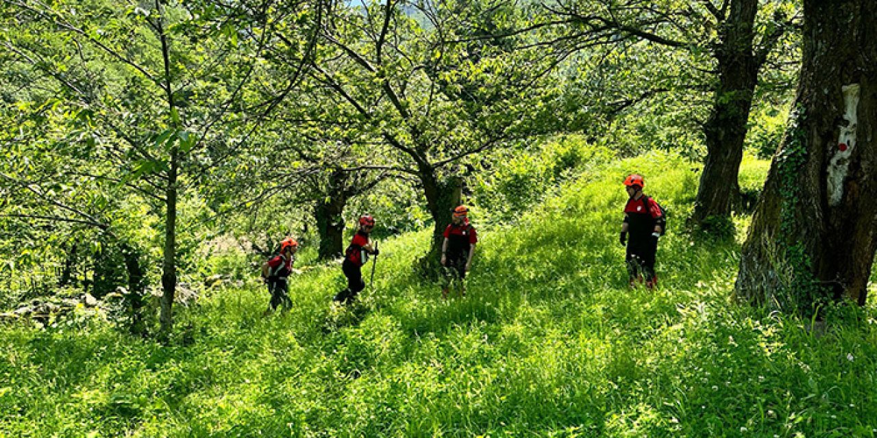 Ot toplamak için çıktığı Uludağ’ın eteklerinde kayboldu