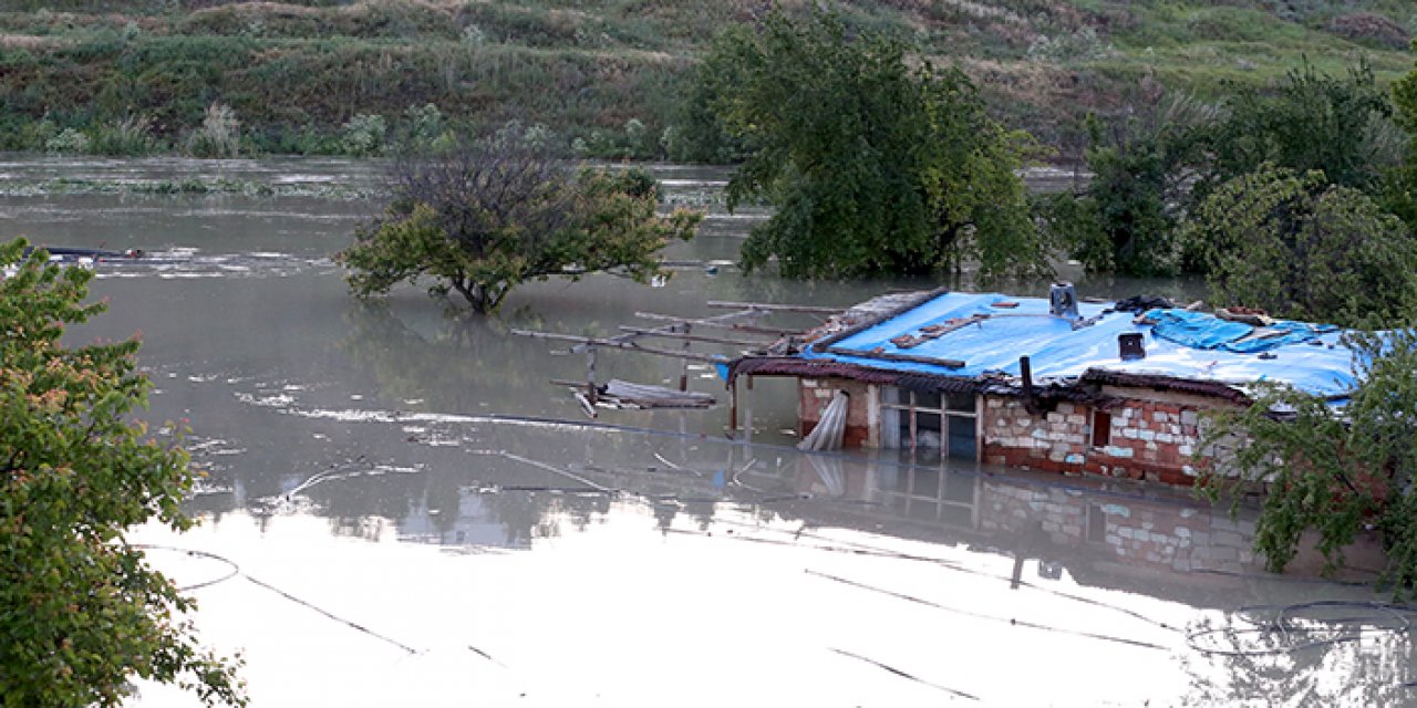 Ankara Çayı taştı: Mandıra ve bahçeler sular altında kaldı