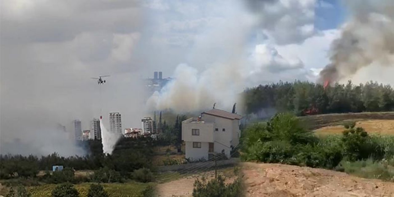 Adana’da anız yangını: Alevler ormana sıçradı