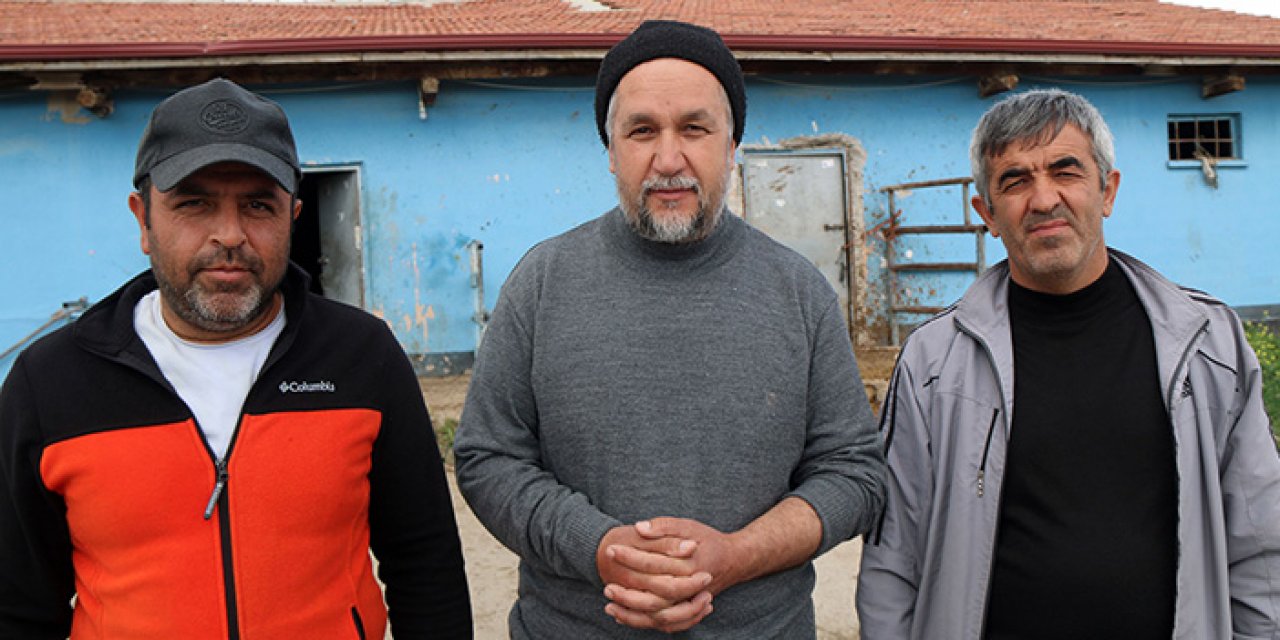 Hayırseverler şehitler adına kurban kesti