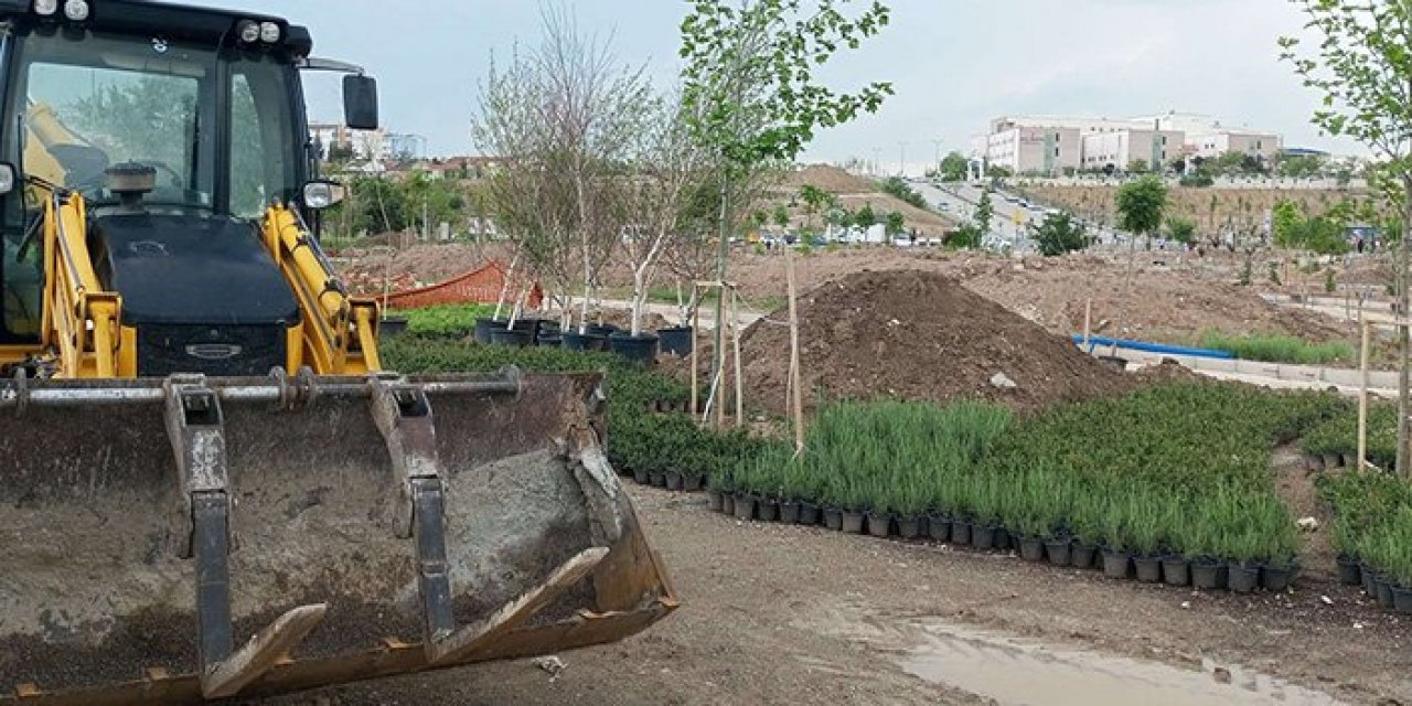 Yenimahalle Hastanesi yeşilleniyor: 70 bin çalı 2500 ağaç dikiliyor