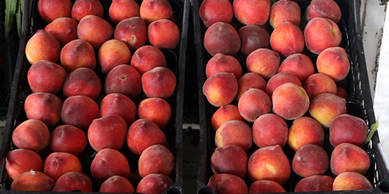 Şeftalinin hal ve market fiyatı şaşırttı