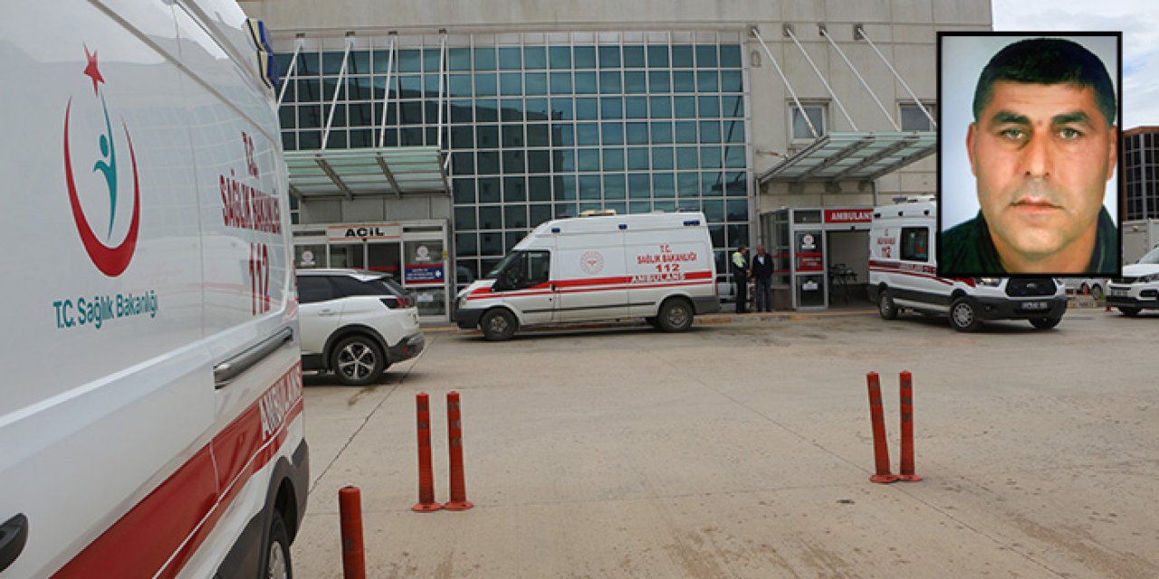 Kestiği ağaç hayatına mal oldu