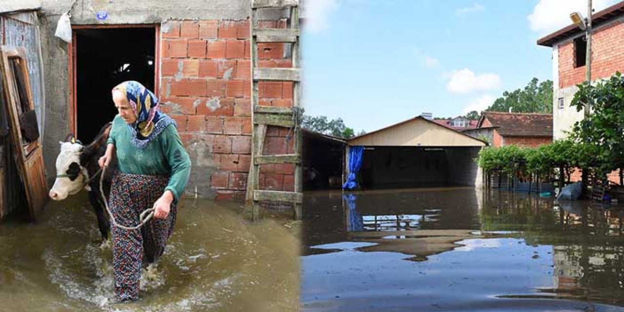 Samsun'da Terme Çayı taştı: Evleri su bastı