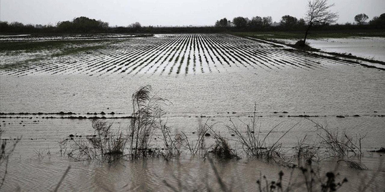 Ankara'da yağışlar tarım arazilerini vurdu: Durum içler acısı