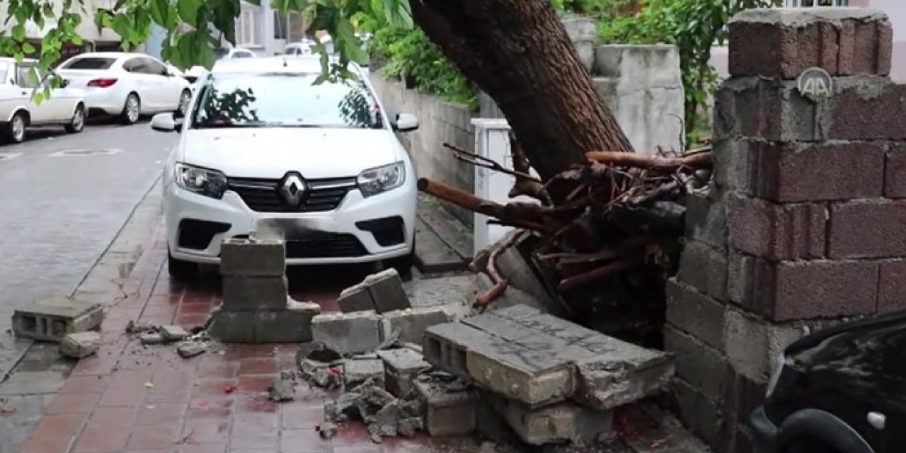 Denizli'de aniden sağanak başladı: Ağaçlar devrildi