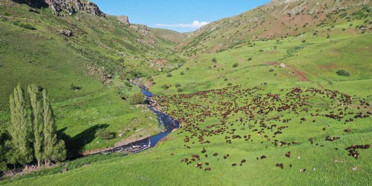 Ağrı yaylalarında zorlu yolculuk