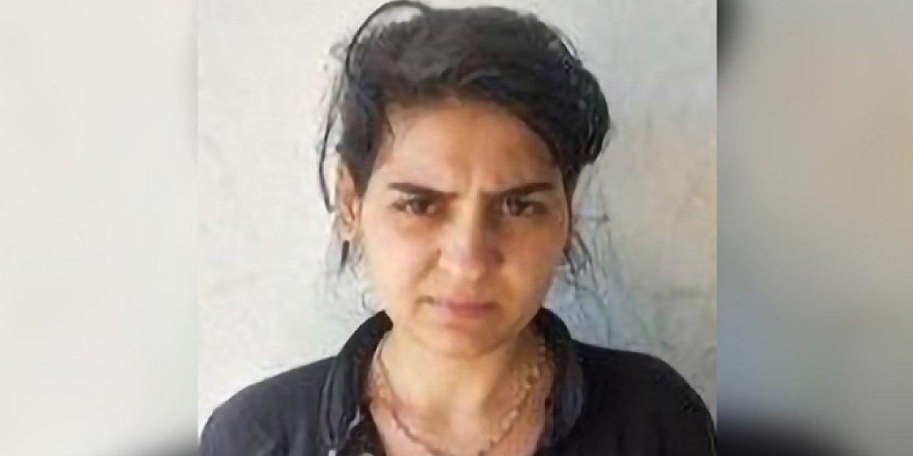 MİT'ten bir nokta operasyonu daha