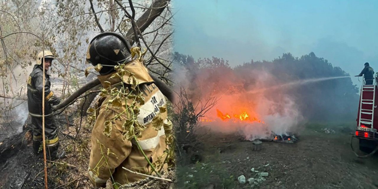 Kazakistan'da orman yangınları sürüyor: 60 bin hektarlık alan kül oldu