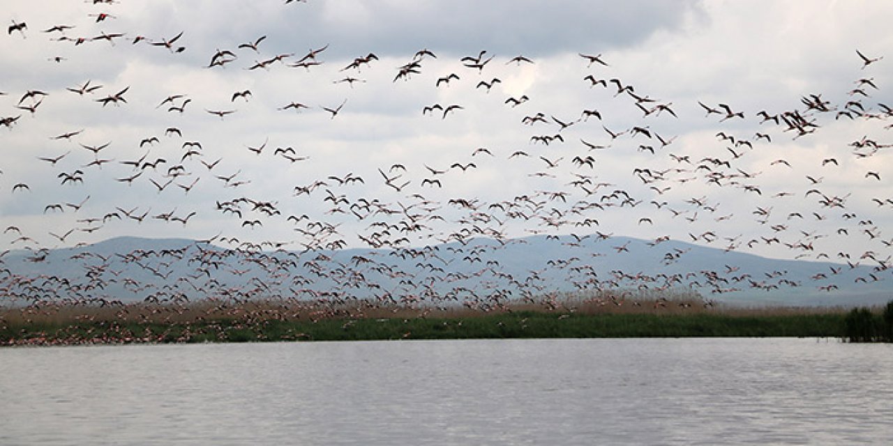 Eber Gölü doldu taştı