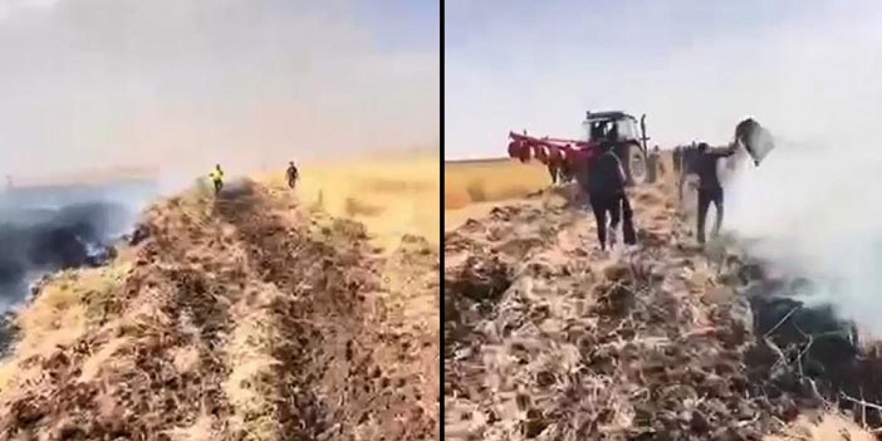 Mardin'de buğday yangını: 150 dönüm alan yandı