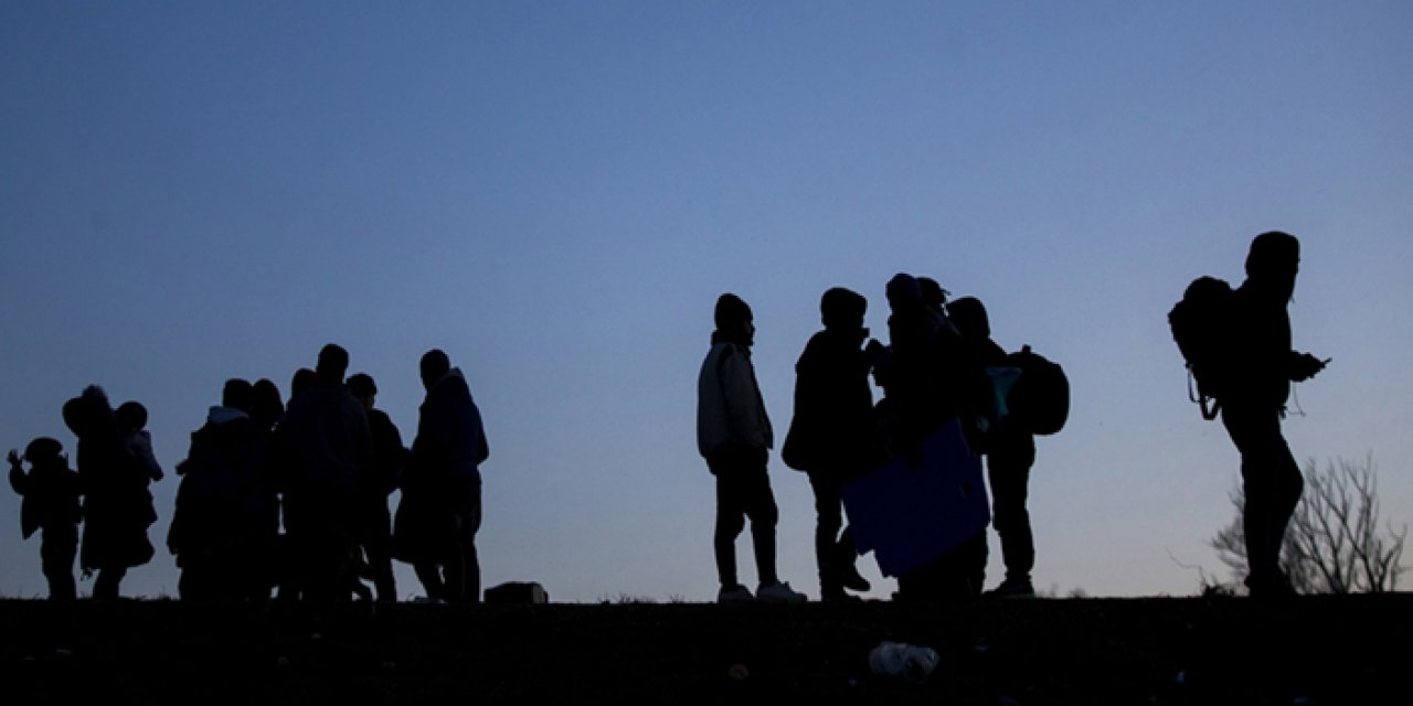 250 kaçak göçmen yakalandı