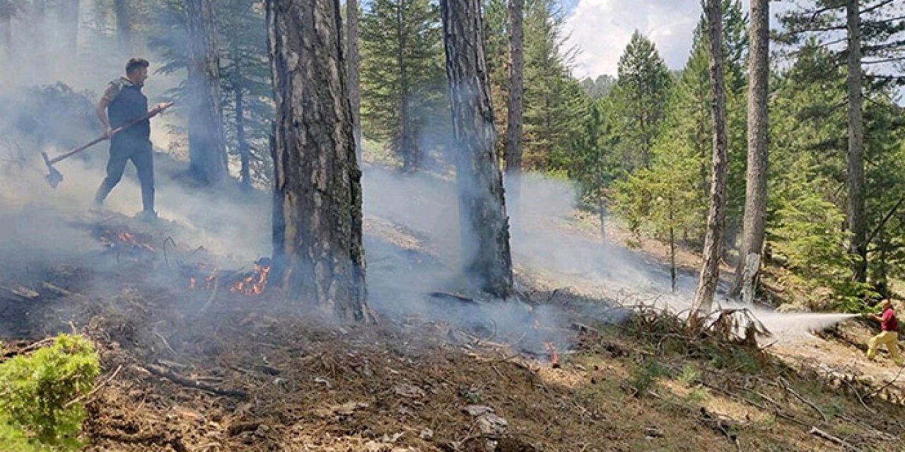1,5 ayda düşen yıldırımlar 28 orman yangını çıkardı