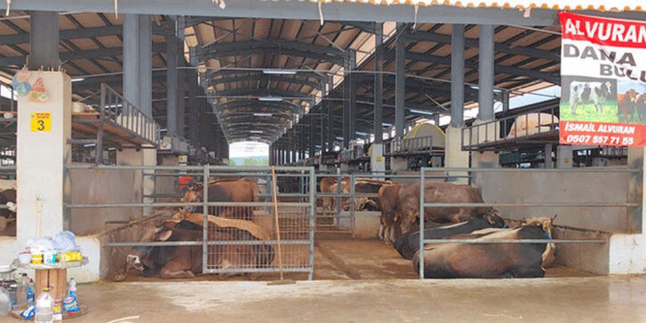 Hayvan pazarında kırmızı alarm: Karantinaya alındı