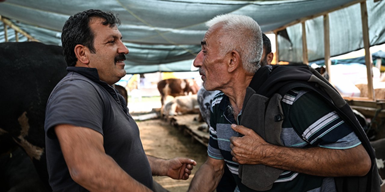 Ankara'daki kurban pazarları hareketlendi: Pazarlıklar kıran kırana geçiyor!
