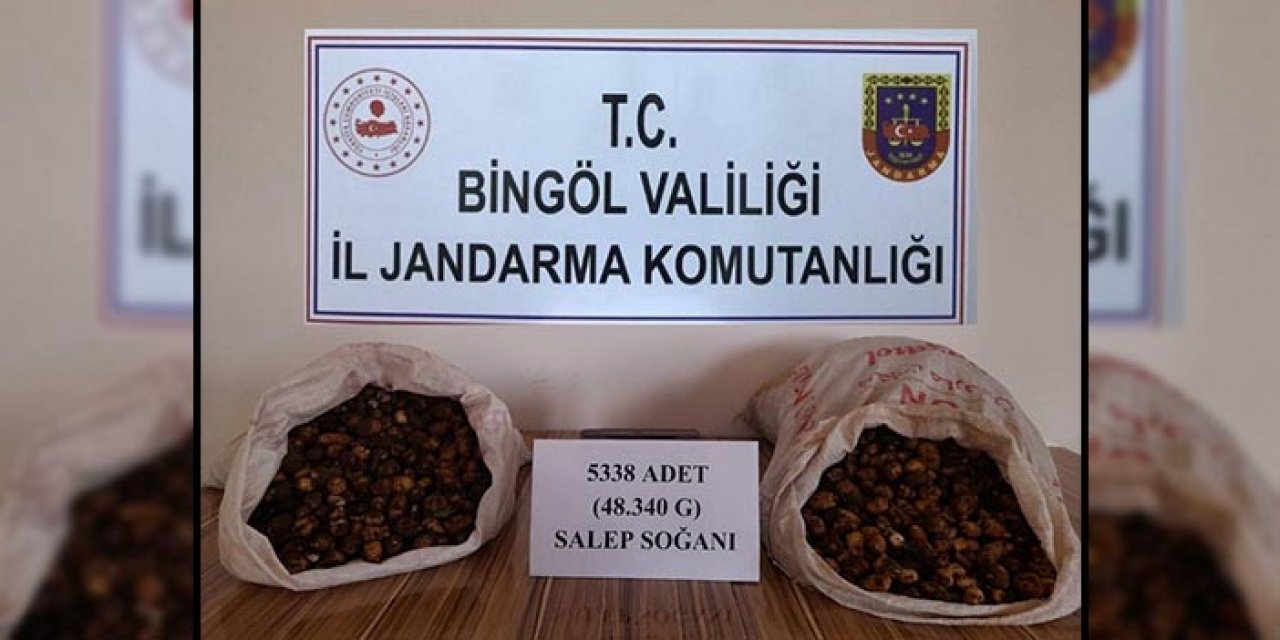 Bingöl’de salep soğanı toplayanlara rekor ceza