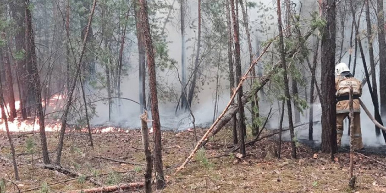 Kazakistan’da orman yangını 7 gündür sürüyor
