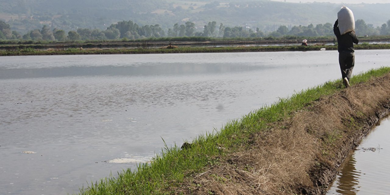 Balıkesir’de hava şartları ekimi 1 ay geciktirdi